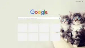 Le thème chatons pour Google chrome