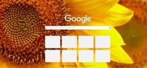 Google chrome avec tournesols