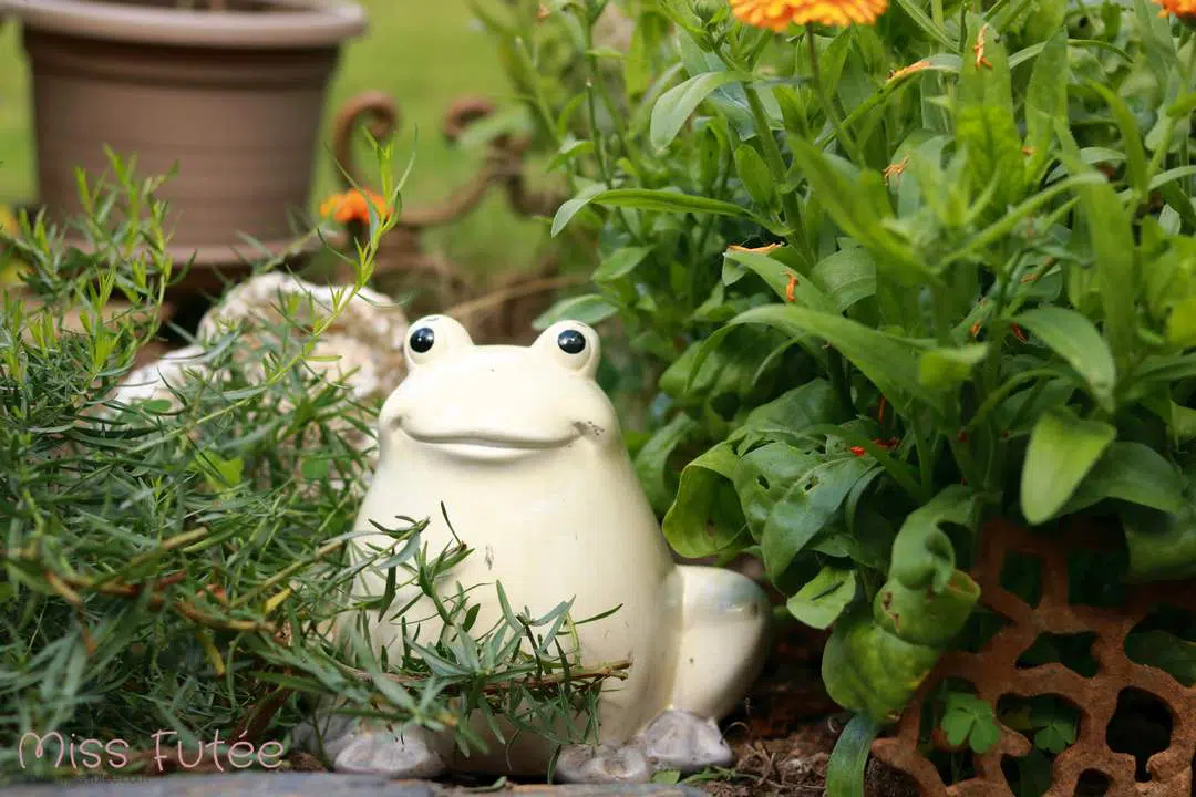 Jolie grenouille pour décorer votre jardin