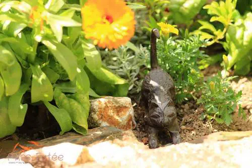 Petit chat en fonte pour décorer son jardin