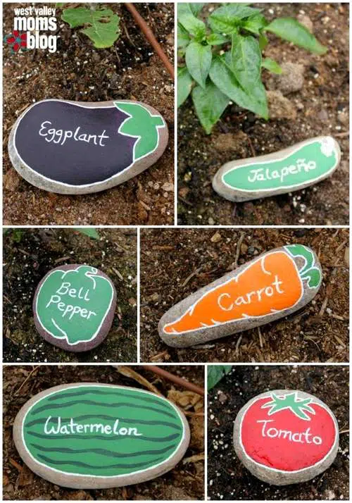 Étiquettes pour le jardin sur des cailloux dessinés
