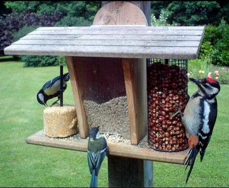 Mangeoire pour oiseaux