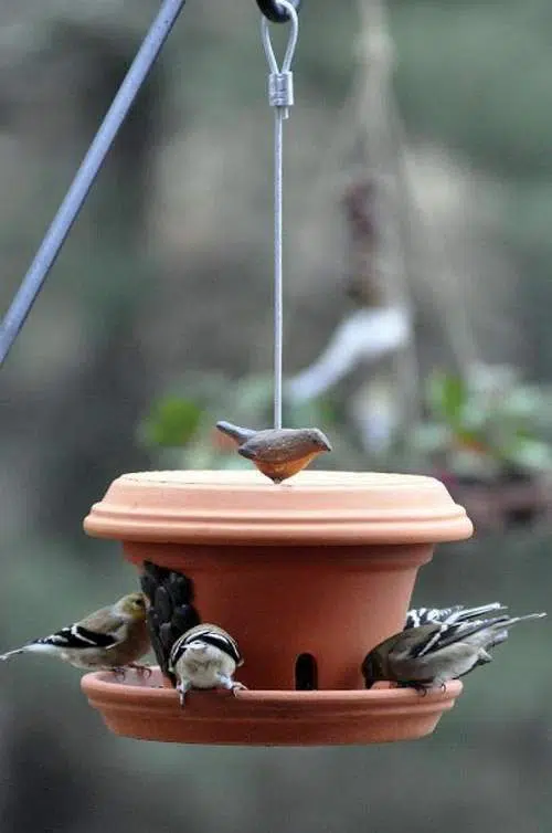 Mangeoire oiseau en pots