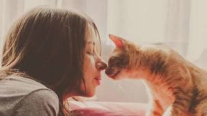 La relation chat et humain : la comprendre