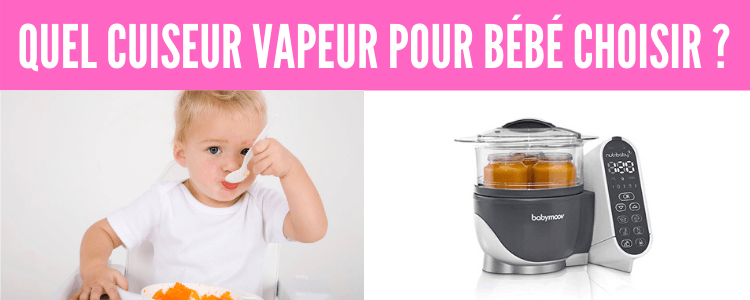 Quel Cuiseur Vapeur Pour Bebe Le Choix Des Mamans