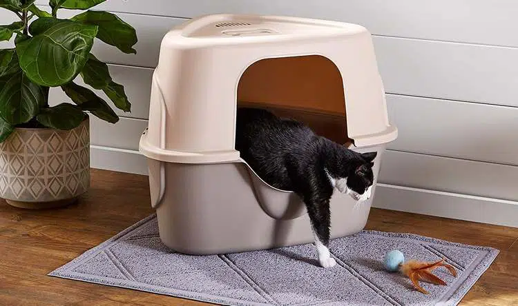 Comment trouver un emplacement idéal pour la litière de son chat ?