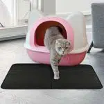 Maison de toilette pour chat avec tapis